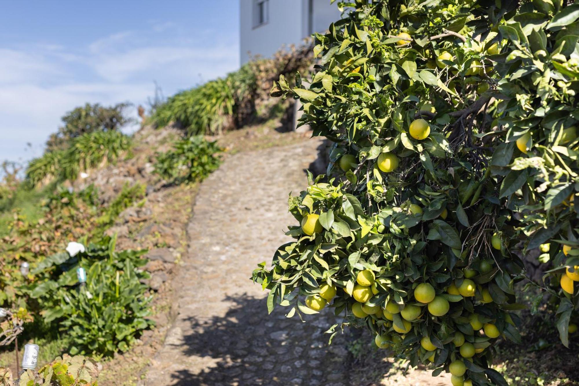 Ek Drago Finca El Milagro 拉奥罗塔瓦 外观 照片